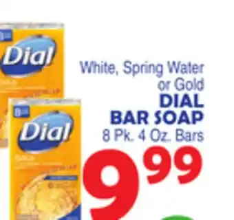 Bravo Supermarkets DIAL BAR SOAP offer