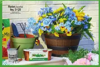 Dollar General Planters offer