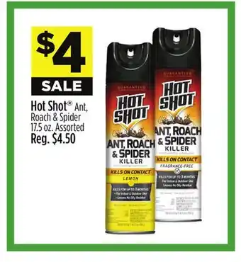 Dollar General Hot Shot Ant, Roach & Spider offer