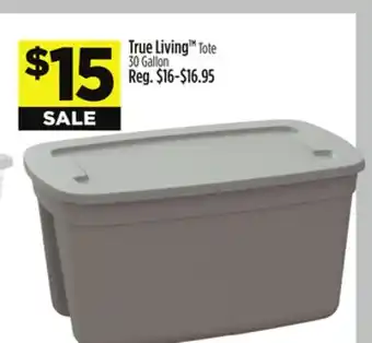 Dollar General True Living Tote offer