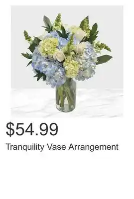 Costco Tranquility Vase Arrangement offer