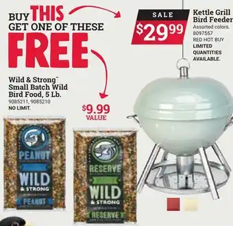 Ace Hardware Kettle Grill Bird Feeder offer