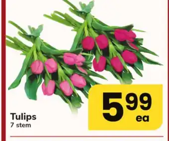 ACME Tulips offer