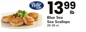 ACME Blue Sea Sea Scallops offer
