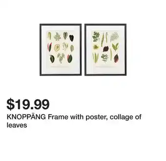 Ikea KNOPPÄNG Frame with poster, collage of leaves offer