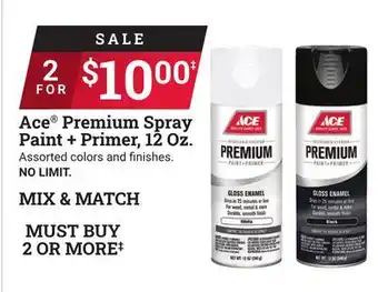 Ace Hardware Ace Premium Spray Paint + Primer, 12 Oz offer