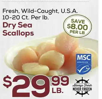 DeCicco & Sons Dry Sea Scallops offer