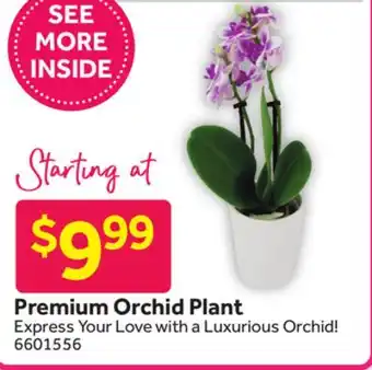 Stop&Shop Premium Orchid Plant offer