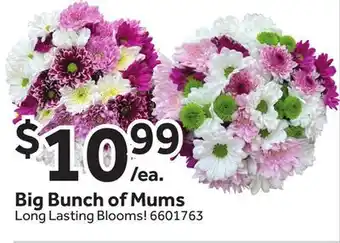 Stop&Shop Big Bunch of Mums offer