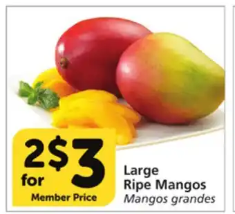 Vons Large Ripe Mangos offer