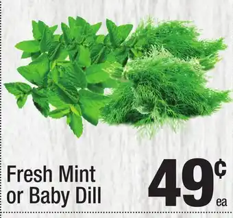 Super King Markets Fresh Mint or Baby Dill offer