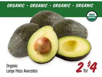 Sprouts Farmers Market Organic Large Hass Avocados offer