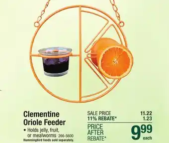 Menards Heath Outdoor Products Clementine Oriole Feeder offer