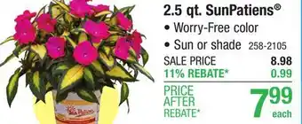 Menards SunPatiens Assorted Plants - 2.5 qt offer