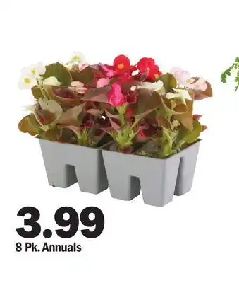 Meijer 8 Pk. Annuals offer