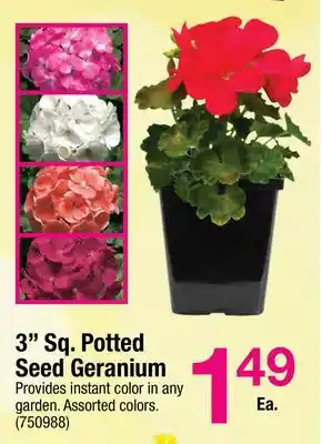 Ace Hardware 3 Sq. Potted Seed Geranium offer