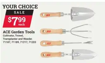 Ace Hardware ACE Garden Tools offer