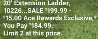 Ace Hardware 20' Extension Ladder offer