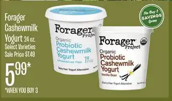 Jewel-Osco Forager Cashewmilk Yogurt offer