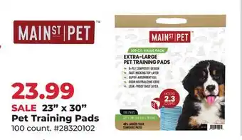 Runnings 23 x 30 Pet Training Pads offer