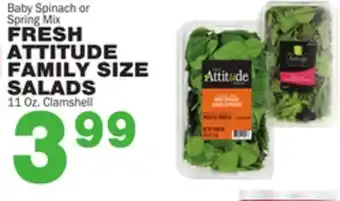 Bravo Supermarkets FRESH ATTITUDE FAMILY SIZE SALADS offer