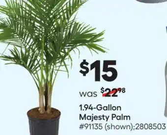 Lowe's 1.94-Gallon Majesty Palm offer