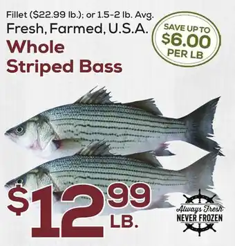 DeCicco & Sons Whole Striped Bass offer