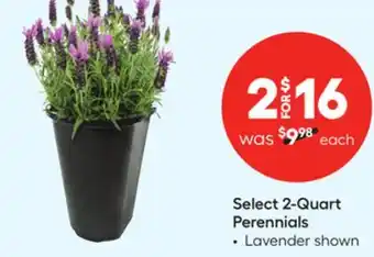 Lowe's Select 2-Quart Perennials offer