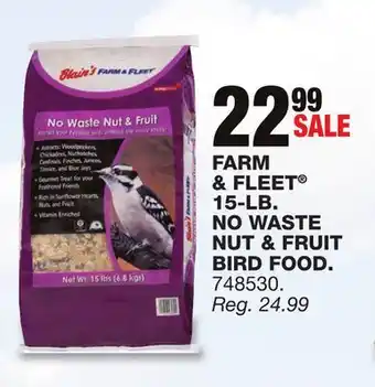 Blain's Farm & Fleet FARM & FLEET 15-LB NO WASTE NUT & FRUIT BIRD FOOD offer