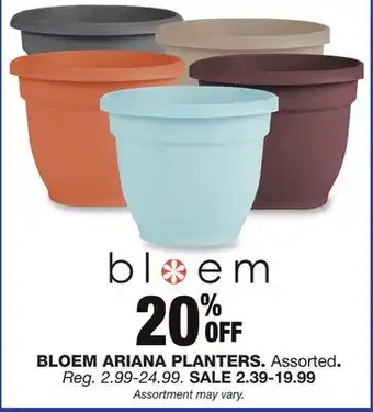 Blain's Farm & Fleet BLOEM ARIANA PLANTERS offer