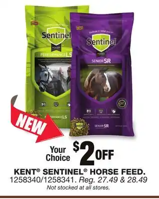 Blain's Farm & Fleet KENT SENTINEL HORSE FEED offer