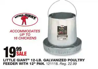 Blain's Farm & Fleet LITTLE GIANT 12-LB. GALVANIZED POULTRY FEEDER WITH 12 PAN offer