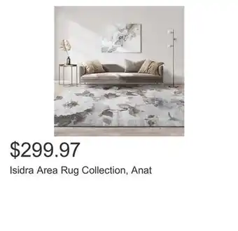 Costco Isidra Area Rug Collection, Anat offer