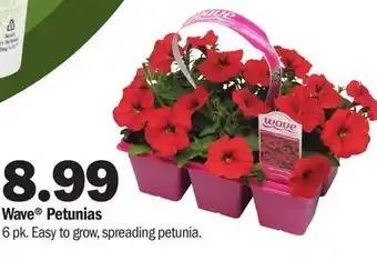 Meijer Wave Petunias offer