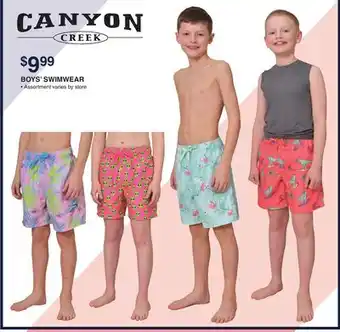 Dunham's Sports BOYS' SWIMWEAR offer