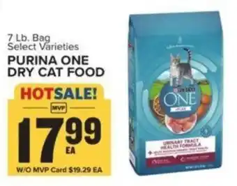 Food Lion PURINA ONE DRY CAT FOOD offer