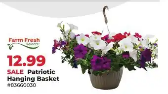 Runnings Patriotic Hanging Basket offer