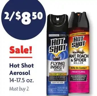 Family Dollar Hot Shot Aerosol offer