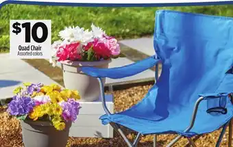 Dollar General Quad Chair offer