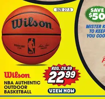 Big 5 Wilson NBA Authentic Outdoor Basketball offer
