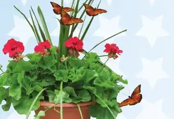 Ace Hardware 14 Large Potted Plant offer