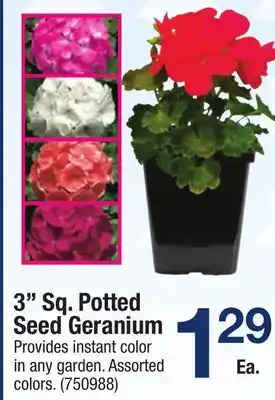 Ace Hardware 3 Sq. Potted Seed Geranium offer