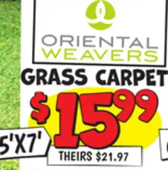 Ollie's GRASS CARPET offer