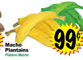 Superior Grocers Macho Plantains offer