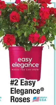 Menards 2 Easy Elegance Roses offer