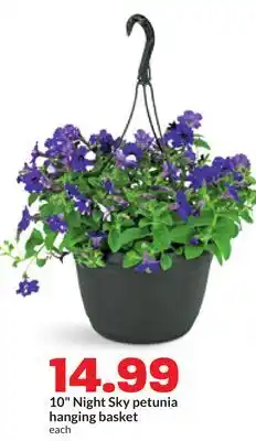 Hy-Vee 10 Night Sky petunia hanging basket offer