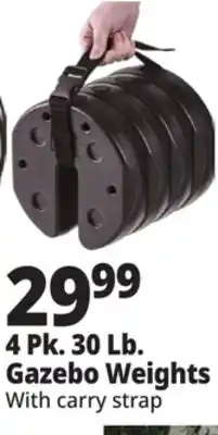 Ocean State Job Lot 4 Pk. 30 Lb. Gazebo Weights offer