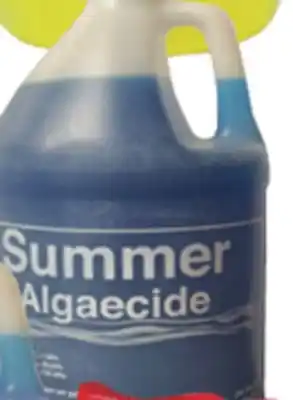 Ocean State Job Lot Summer Algaecide 1 Gal offer
