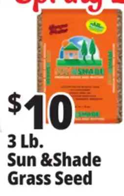 Ocean State Job Lot Rapid Turf Premium Grass Seed Mixture 3 lbs offer