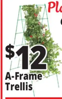 Ocean State Job Lot A-Frame Trellis Green 46 x 18 offer